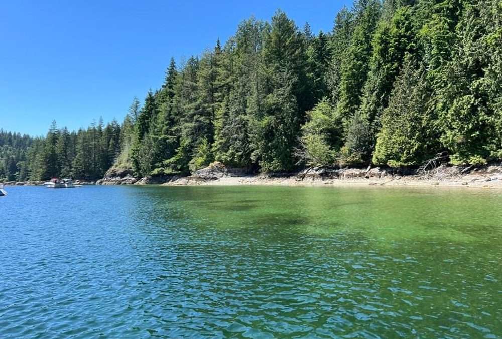 Bedwell Bay – Paradise in our own back yard.
